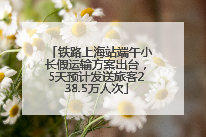铁路上海站端午小长假运输方案出台，5天预计发送旅客238.5万人次