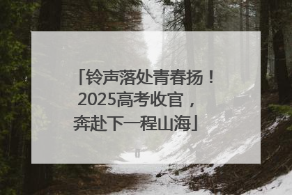 铃声落处青春扬！2025高考收官，奔赴下一程山海