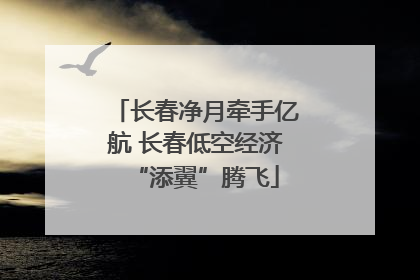 长春净月牵手亿航 长春低空经济“添翼”腾飞