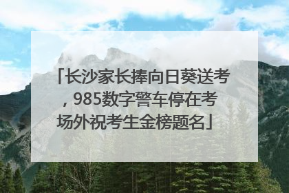 长沙家长捧向日葵送考，985数字警车停在考场外祝考生金榜题名