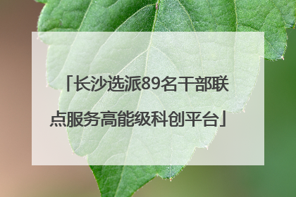 长沙选派89名干部联点服务高能级科创平台
