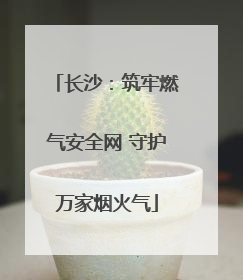 长沙：筑牢燃气安全网 守护万家烟火气