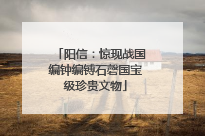 阳信：惊现战国编钟编镈石磬国宝级珍贵文物