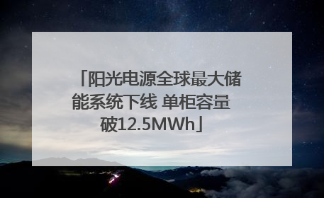 阳光电源全球最大储能系统下线 单柜容量破12.5MWh