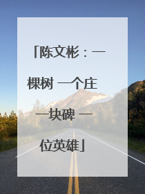 陈文彬：一棵树 一个庄 一块碑 一位英雄