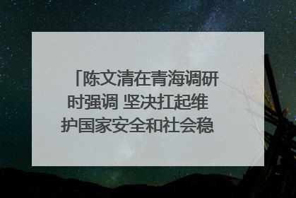 陈文清在青海调研时强调 坚决扛起维护国家安全和社会稳定职责使命 为谱写中国式现代化青海篇章贡献政法力量