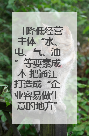 降低经营主体“水、电、气、油”等要素成本 把通江打造成“企业容易做生意的地方”