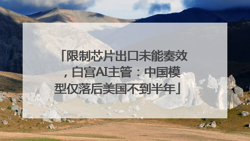 限制芯片出口未能奏效，白宫AI主管：中国模型仅落后美国不到半年