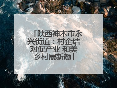 陕西神木市永兴街道：村企结对促产业 和美乡村展新颜