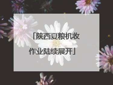 陕西夏粮机收作业陆续展开