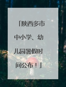 陕西多市中小学、幼儿园暑假时间公布！
