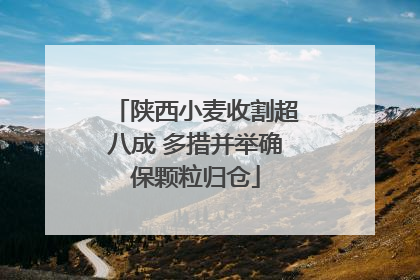 陕西小麦收割超八成 多措并举确保颗粒归仓