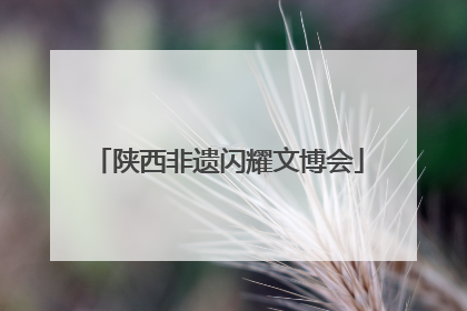 陕西非遗闪耀文博会