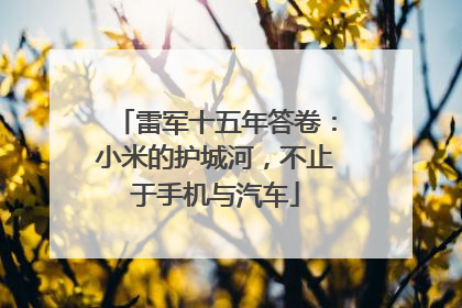 雷军十五年答卷：小米的护城河，不止于手机与汽车