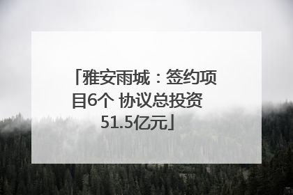 雅安雨城：签约项目6个 协议总投资51.5亿元