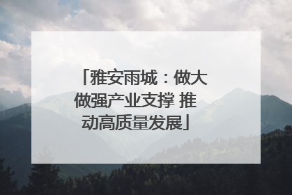 雅安雨城：做大做强产业支撑 推动高质量发展