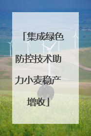 集成绿色防控技术助力小麦稳产增收