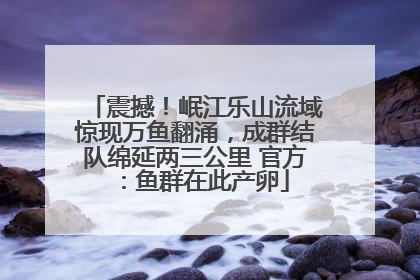 震撼！岷江乐山流域惊现万鱼翻涌，成群结队绵延两三公里 官方：鱼群在此产卵