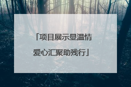 项目展示显温情 爱心汇聚助残行