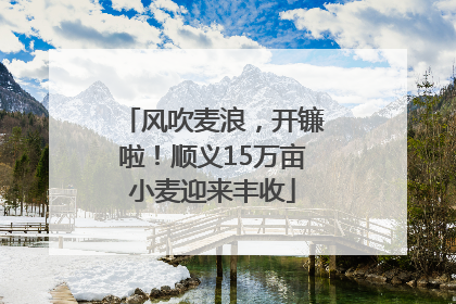 风吹麦浪，开镰啦！顺义15万亩小麦迎来丰收