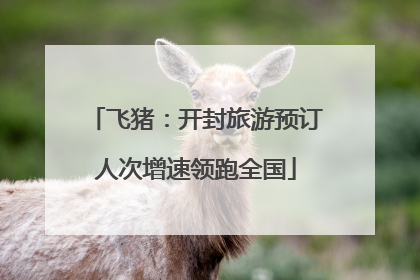 飞猪：开封旅游预订人次增速领跑全国