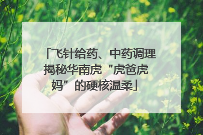 飞针给药、中药调理 揭秘华南虎“虎爸虎妈”的硬核温柔