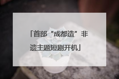 首部“成都造”非遗主题短剧开机