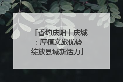 香约庆阳丨庆城：厚植文旅优势 绽放县域新活力