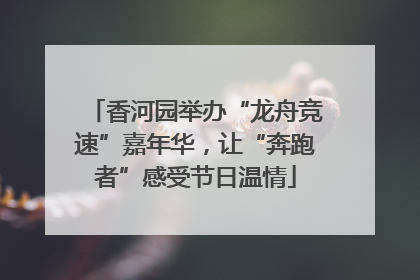 香河园举办“龙舟竞速”嘉年华，让“奔跑者”感受节日温情