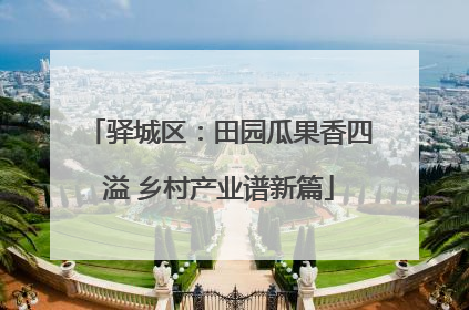 驿城区：田园瓜果香四溢 乡村产业谱新篇