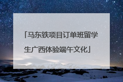 马东铁项目订单班留学生广西体验端午文化