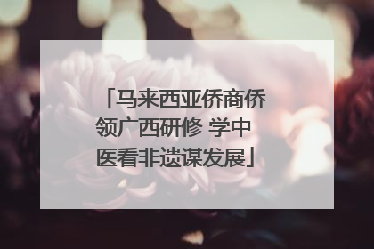 马来西亚侨商侨领广西研修 学中医看非遗谋发展