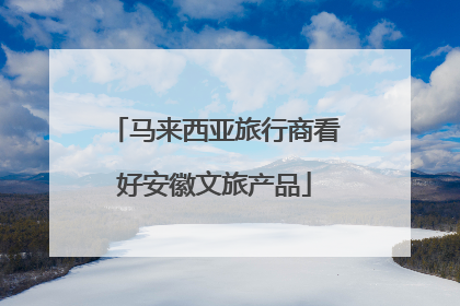 马来西亚旅行商看好安徽文旅产品