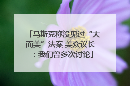 马斯克称没见过“大而美”法案 美众议长：我们曾多次讨论