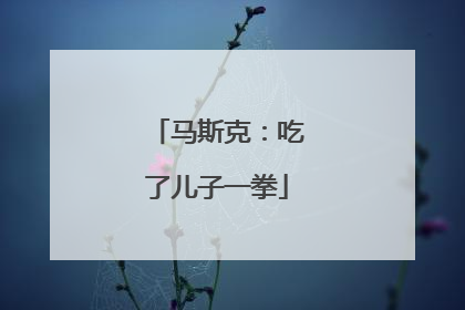 马斯克：吃了儿子一拳