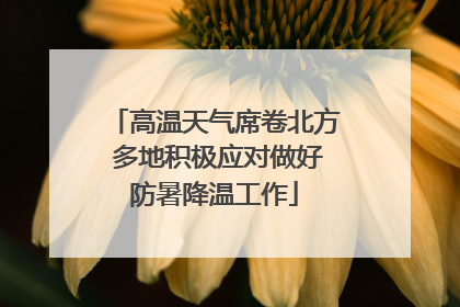 高温天气席卷北方 多地积极应对做好防暑降温工作