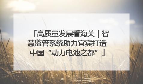 高质量发展看海关｜智慧监管系统助力宜宾打造中国“动力电池之都”