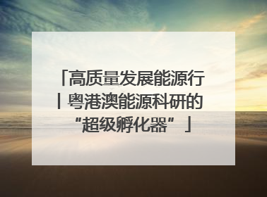 高质量发展能源行丨粤港澳能源科研的“超级孵化器”