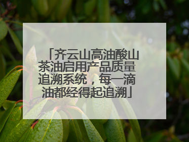 齐云山高油酸山茶油启用产品质量追溯系统，每一滴油都经得起追溯