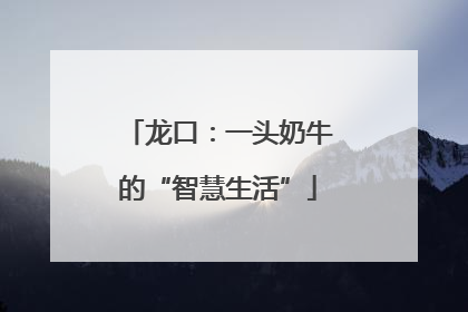 龙口：一头奶牛的“智慧生活”
