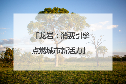 龙岩：消费引擎点燃城市新活力
