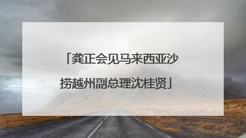龚正会见马来西亚沙捞越州副总理沈桂贤