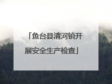鱼台县清河镇开展安全生产检查