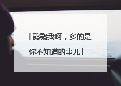 鹮鹮我啊，多的是你不知道的事儿