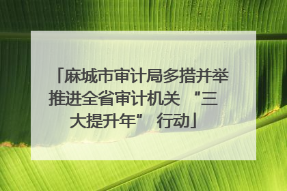 麻城市审计局多措并举推进全省审计机关 “三大提升年” 行动