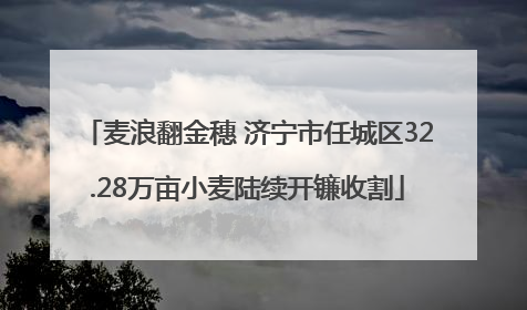 麦浪翻金穗 济宁市任城区32.28万亩小麦陆续开镰收割