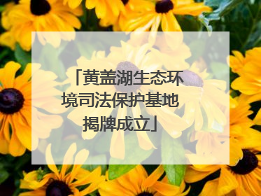 黄盖湖生态环境司法保护基地揭牌成立