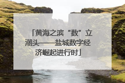 黄海之滨“数”立潮头——盐城数字经济崛起进行时