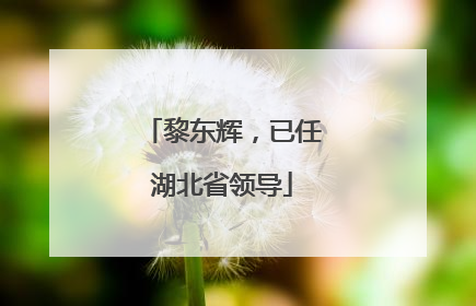 黎东辉，已任湖北省领导