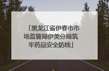 黑龙江省伊春市市场监管局伊美分局筑牢药品安全防线